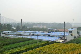 科技偽裝下的食品安全危機 地溝油流向餐桌的生物制品黑幕