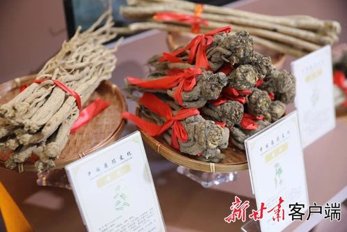 先睹為快 | 第三十屆蘭洽會生物醫藥館布展工作圓滿完成，生物制品領域亮點紛呈